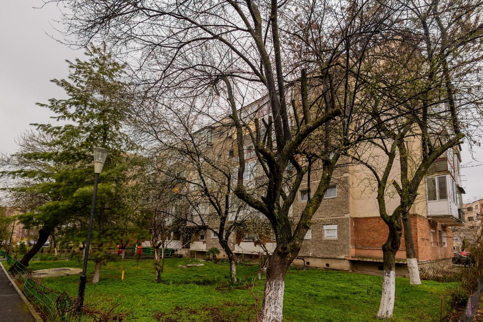 Urban Escape Arad