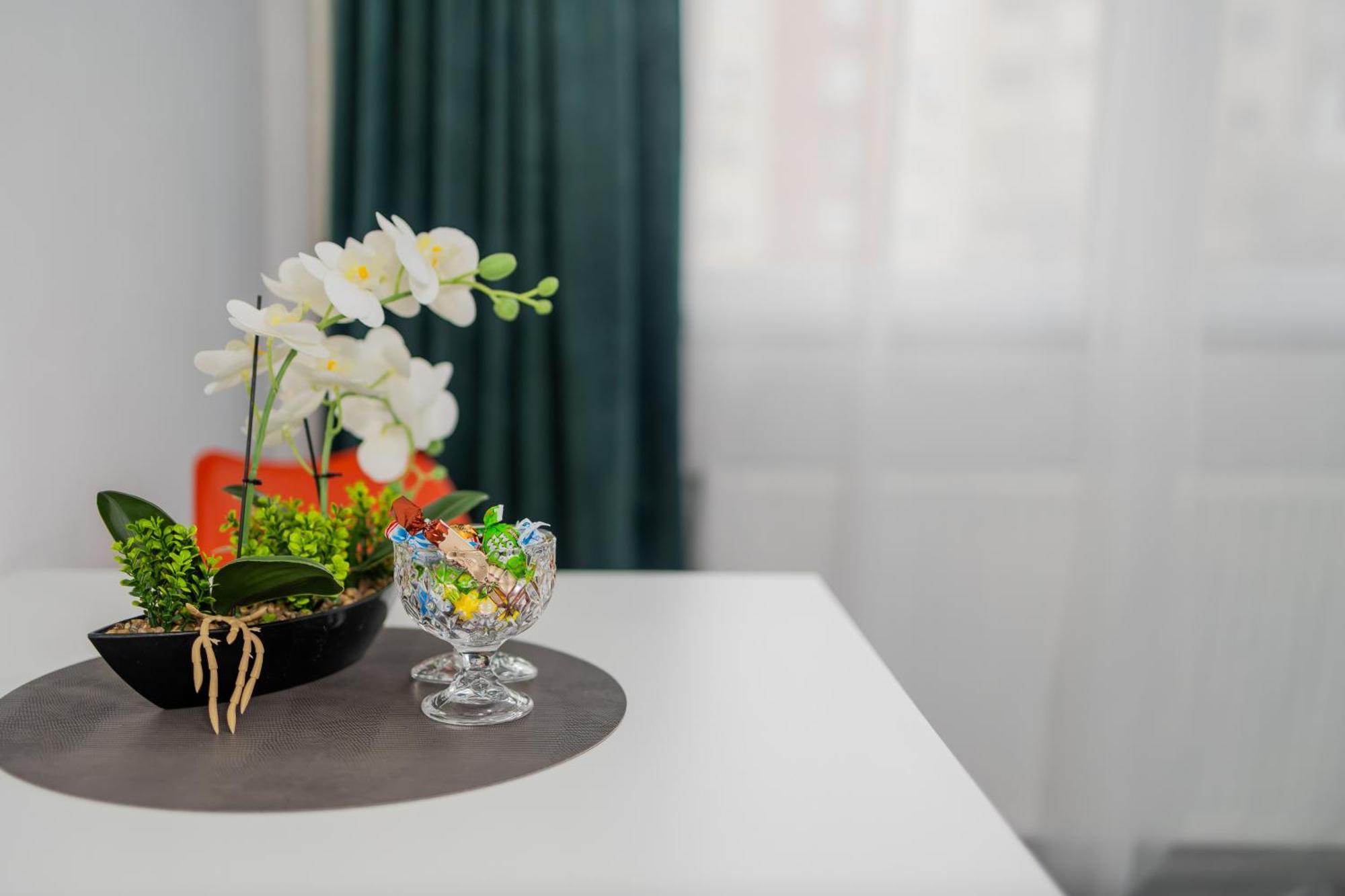 Apartment Urban Escape Arad