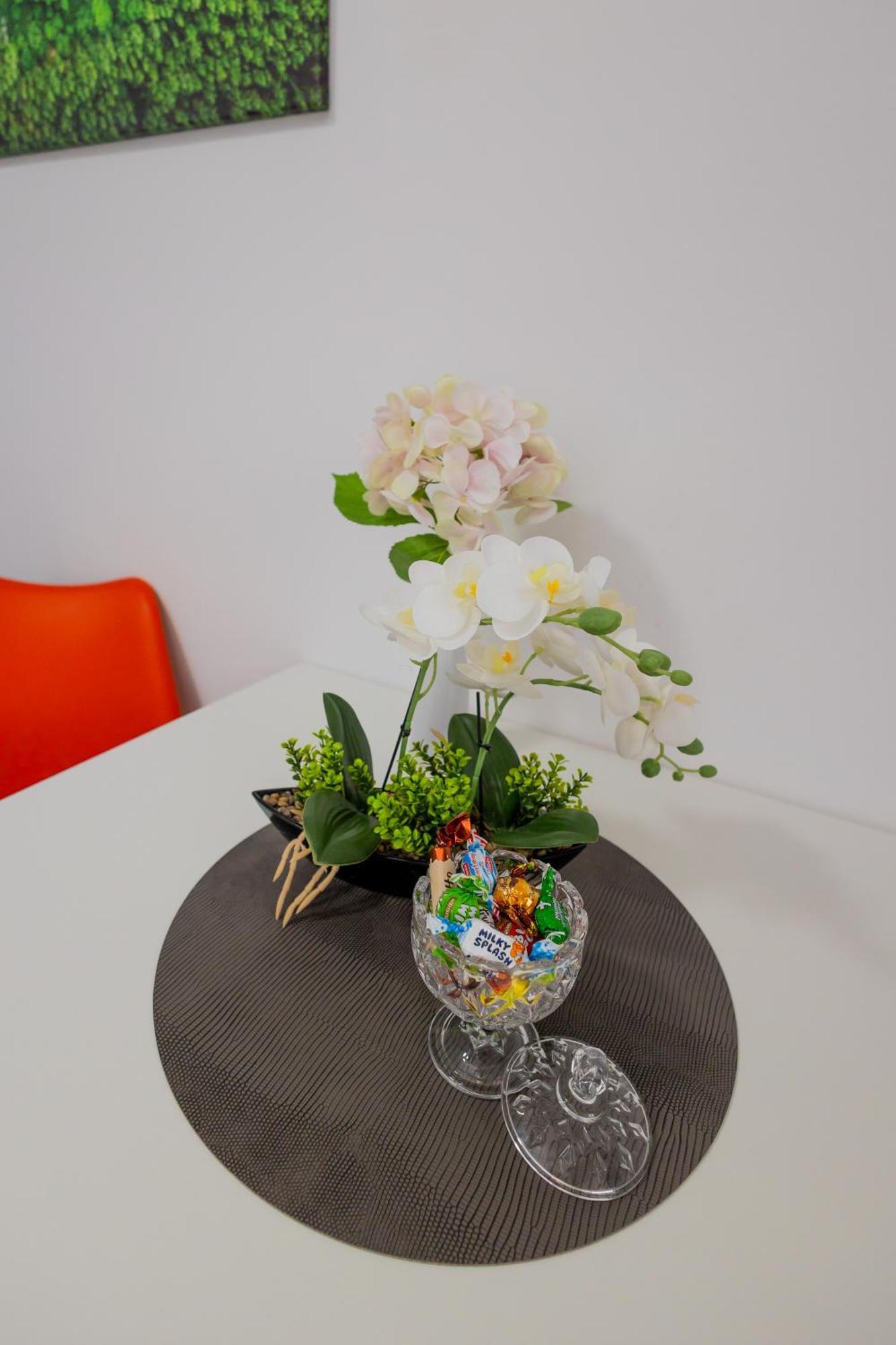 Apartment Urban Escape Arad